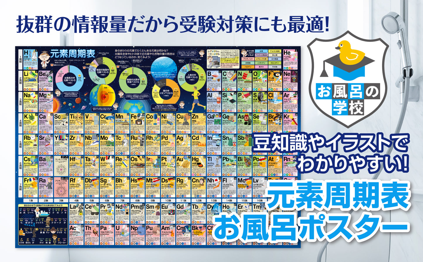 元素周期表 お風呂ポスター