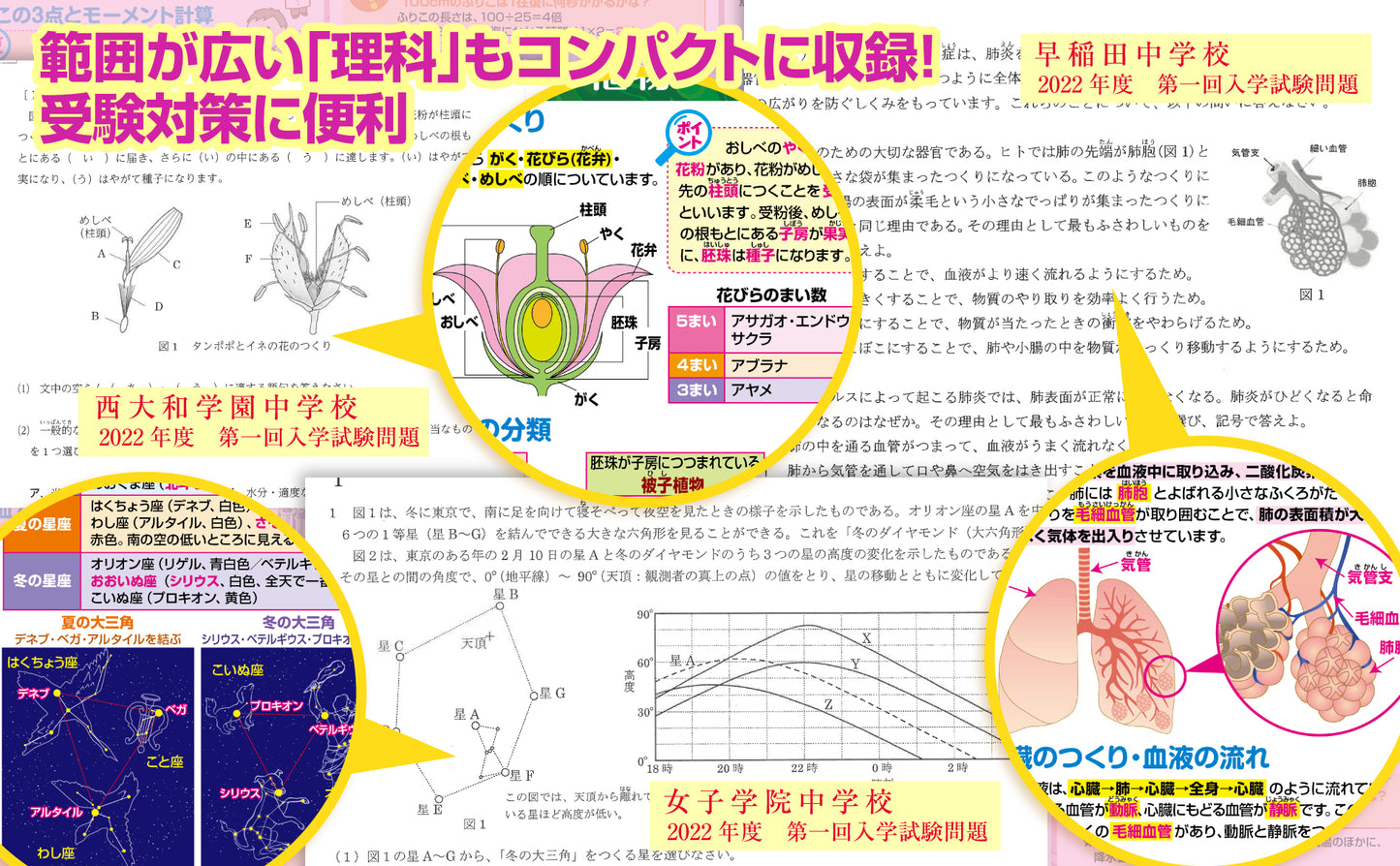 セット価格 中学受験マスター算数/理科 お風呂ポスター2種類セット