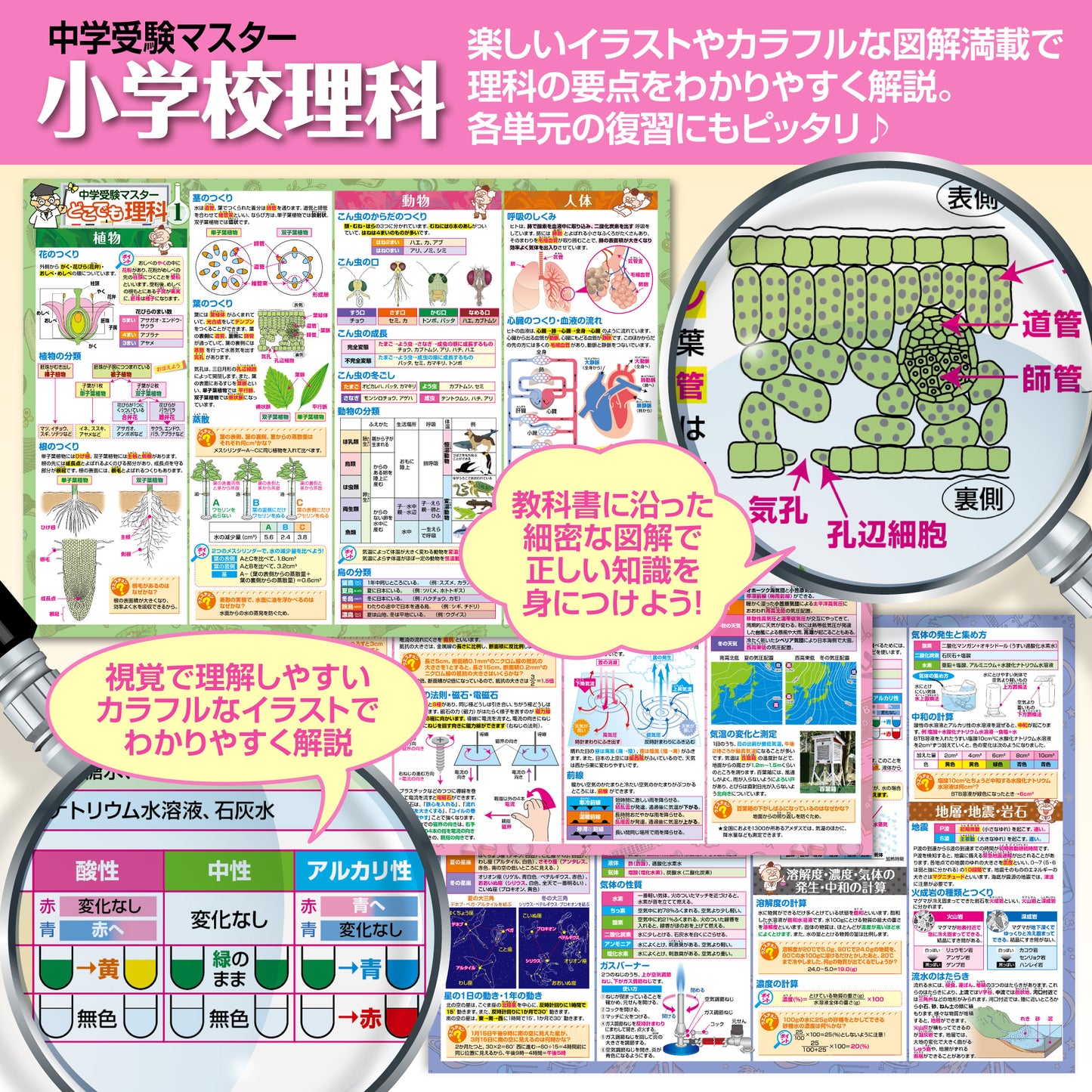 セット価格 中学受験マスター算数/理科 お風呂ポスター2種類セット