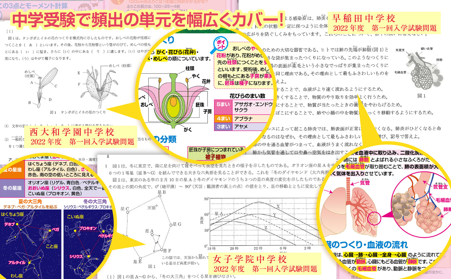中学受験マスターどこでも理科 お風呂ポスター 3枚セット