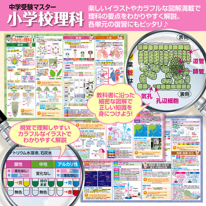 セット価格 中学受験マスター算数／理科 お風呂ポスター２種類セット